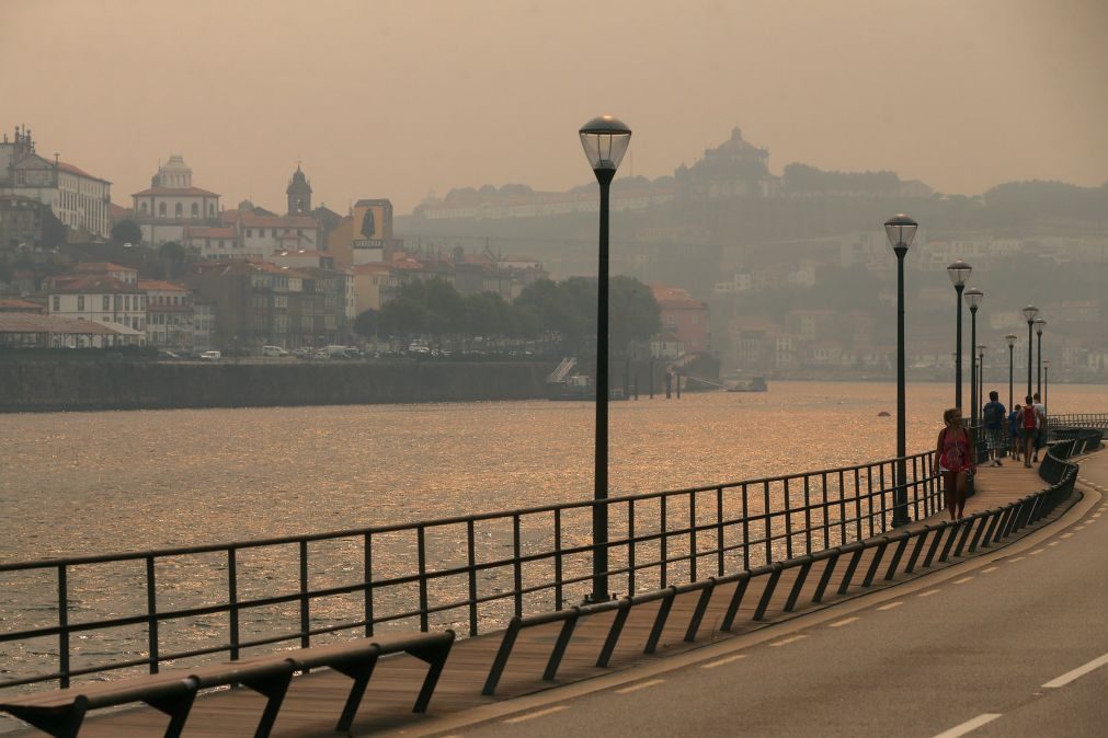 Instabilidade em escarpa no Porto obriga a cortar trânsito na Gustavo Eiffel