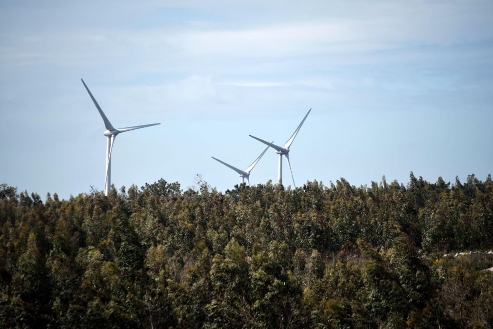 Governo aprova parque eólico da Eneólica na Serra d'Aire com investimento de 24 milhões de euros