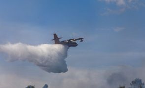 Seis meios aéreos e quase 290 bombeiros combatem chamas no Parque Natural de Montesinho