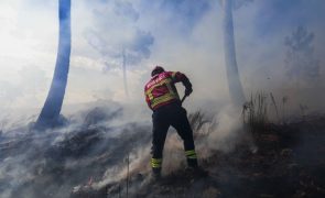 Cerca de 50 concelhos do interior Norte e Centro e Algarve em risco máximo de incêndio