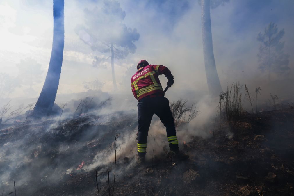 Cerca de 50 concelhos do interior Norte e Centro e Algarve em risco máximo de incêndio