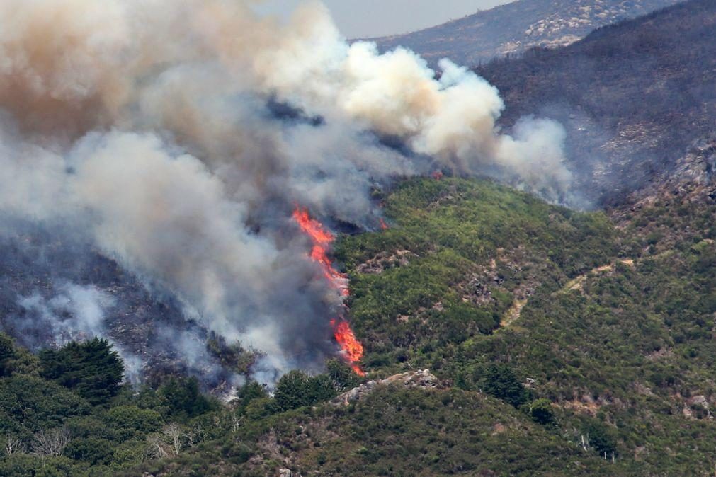 Três frentes ativas do incêndio continuam a ser combatidas na Madeira