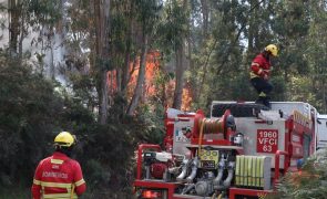 Incêndios/Madeira: Fogo mantém três frentes ativas e160 pessoas permanecem fora de casa