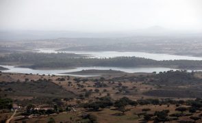 Câmaras e Turismo do Alentejo querem revisão do plano de ordenamento de Alqueva