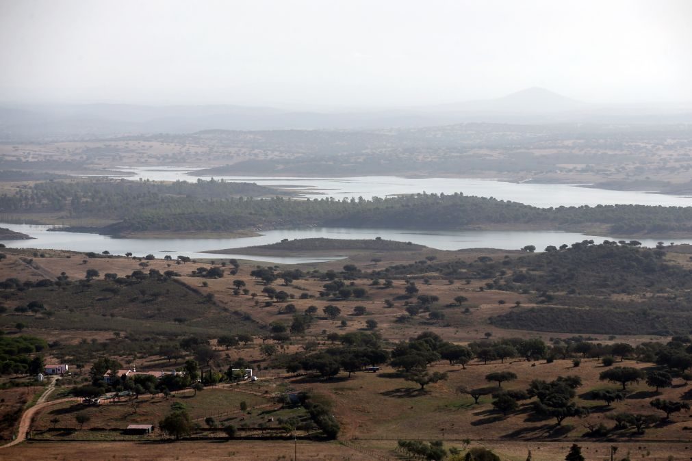 Câmaras e Turismo do Alentejo querem revisão do plano de ordenamento de Alqueva