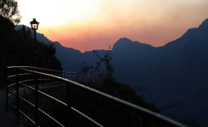 Incêndios/Madeira: Sindicato dos Jornalistas denuncia 