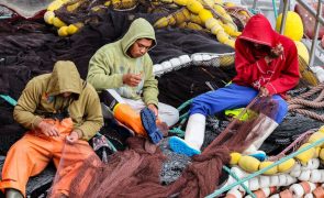 Como os indonésios estão a salvar a pesca portuguesa