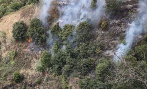 AGIF disponível para integrar Madeira no plano nacional de gestão de fogos