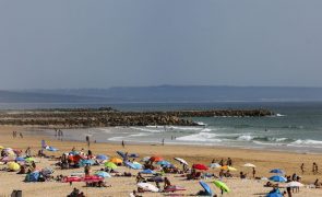 ASAE e Polícia Marítima constituem seis arguidos em empresas nas praias da Caparica