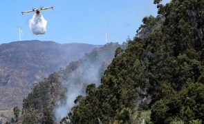 Cerca de 40 concelhos de seis distritos em perigo máximo de incêndio