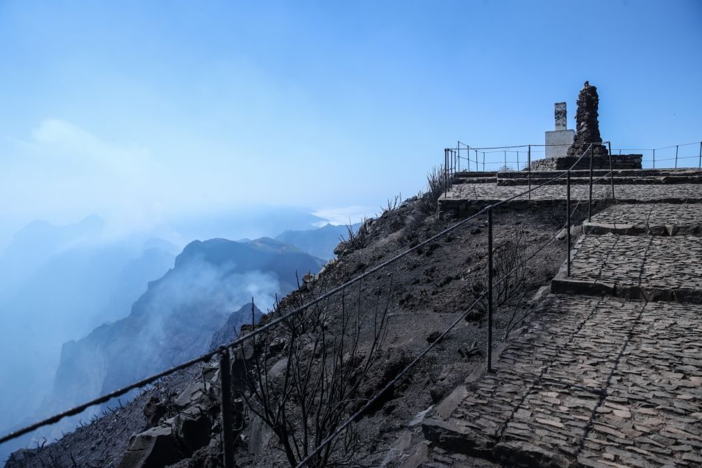 Fogo na Madeira 