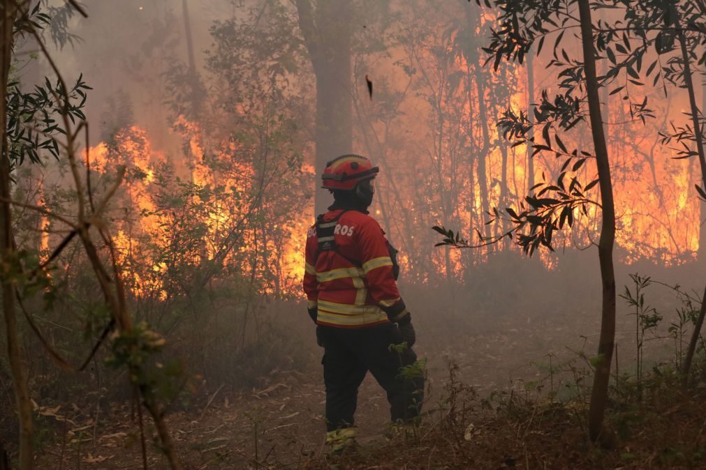 Incêndios: Prisão preventiva para suspeita de provocar fogo em Mesão Frio