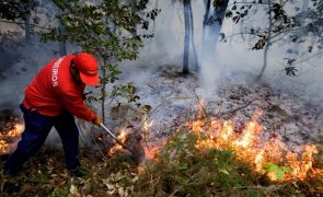 Seis meios aéreos e 150 operacionais combatem fogo em Vila Pouca de Aguiar