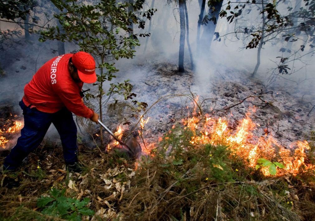 Seis meios aéreos e 150 operacionais combatem fogo em Vila Pouca de Aguiar