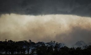 Incêndios no Pantanal queimaram mais de 15% do bioma este ano