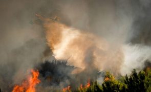 Incêndio de Vinhais reacendeu mas já está dominado