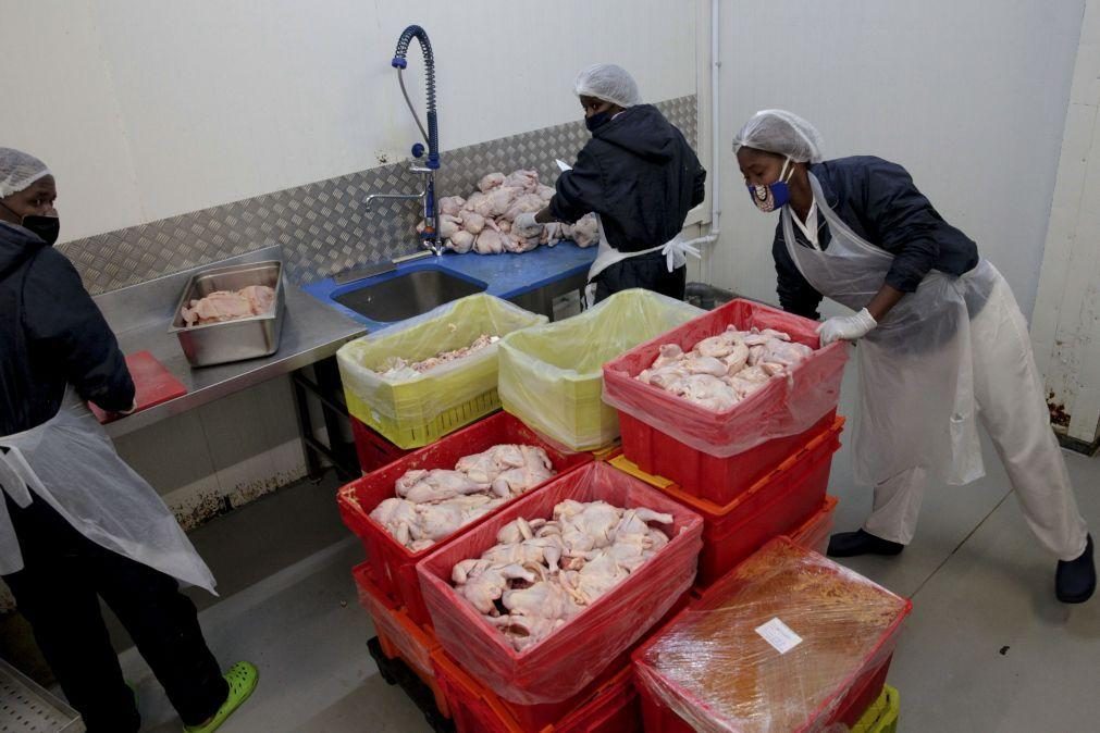 Importação de alimentos em Angola caiu 12,6% no 2.º  trimestre de 2024