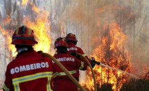 Incêndio que deflagrou em Ponte de Lima passou para Barcelos