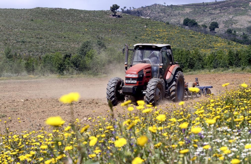 IFAP pagou quase 54 ME aos agricultores até 23 de agosto