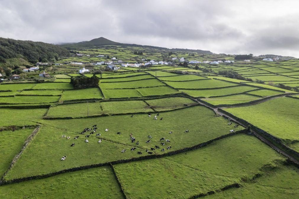 Quatro sismos sentidos na ilha Terceira no intervalo de sete minutos