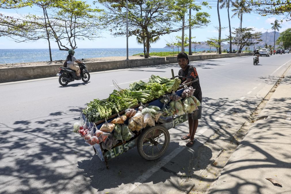 Timor/Papa: Díli acaba preparativos para chegada de Francisco na segunda-feira