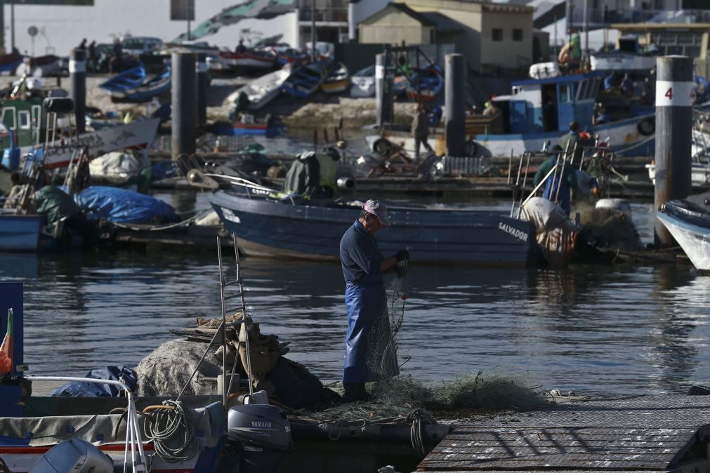 UE deve criar regime de exceção para substituição da frota de pesca