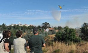 Onze meios aéreos e 335 operacionais combatem fogo no concelho do Seixal