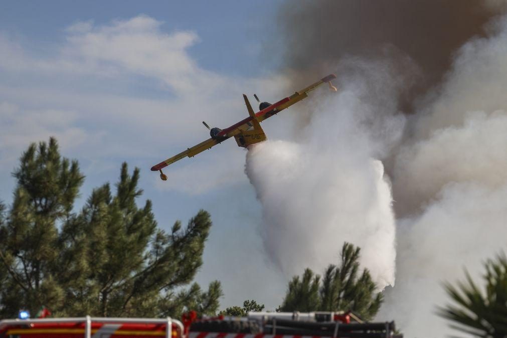 Número de fogos e área ardida registam este ano o valor mais reduzido da década