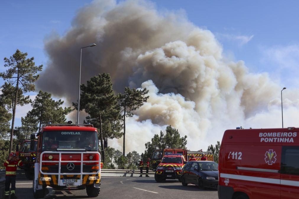 Fogo que deflagrou na Amora com duas frentes em perímetro florestal