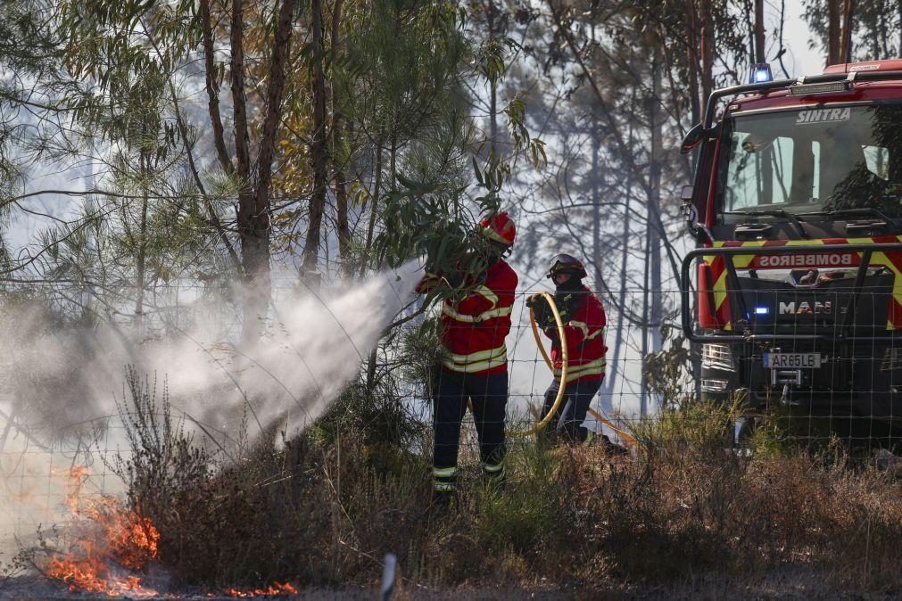 Mais de 280 operacionais combatem fogo no concelho de Pombal