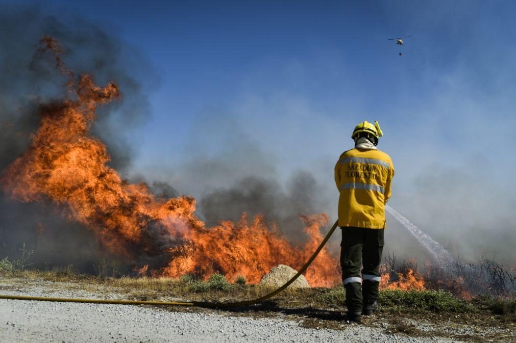 Fogo no Fundão mobiliza mais de 200 operacionais às 15:30