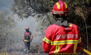 Mais de 90 concelhos de dez distritos do continente em perigo máximo de incêndio