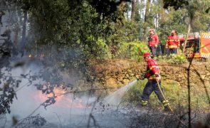 Três fogos em Sever do Vouga e em Fafe eram os mais preocupantes às 11:00