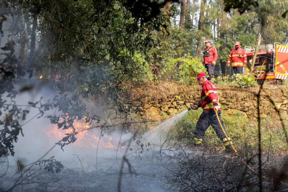 Três fogos em Sever do Vouga e em Fafe eram os mais preocupantes às 11:00