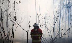 UE pronta para ajudar Portugal no combate aos incêndios mas ainda não recebeu pedido