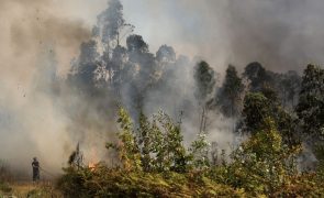 Dois aviões canadair de Espanha chegam hoje a Portugal