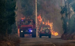 IC12 e estradas nacionais 231 e 329 cortadas na região de Viseu devido aos incêndios