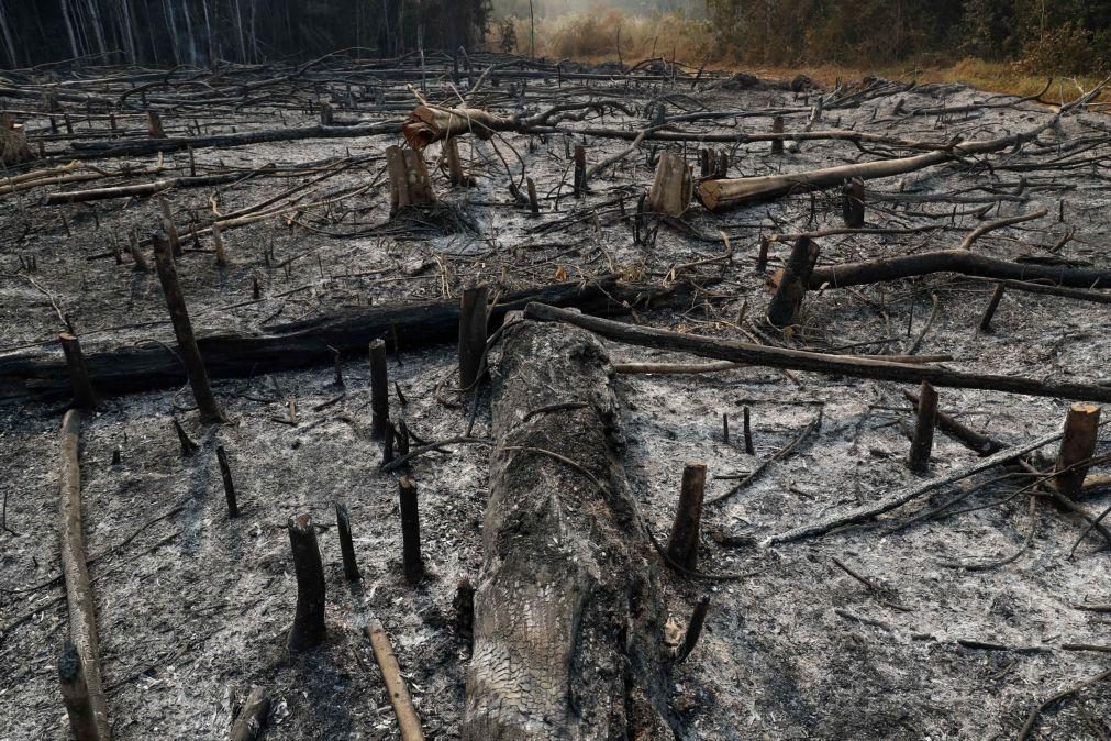 Incêndios florestais causam pelo menos 15 mortos no Peru