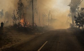 Incêndios cortam estradas em Aveiro, Coimbra, Viseu, Vila Real, Braga e Porto