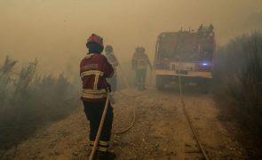 Mais de 5 mil operacionais e 21 meios aéreos em combate aos incêndios