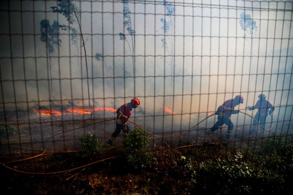 Fogos no distrito de Aveiro com perímetro de 100 quilómetros