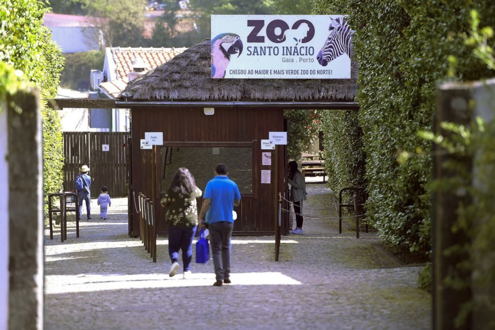 Zoo Santo Inácio em Gaia encerrado devido à qualidade do ar