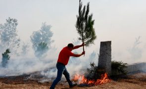 Sete mortos e 62 deslocados em 25 concelhos afetados pelos fogos.