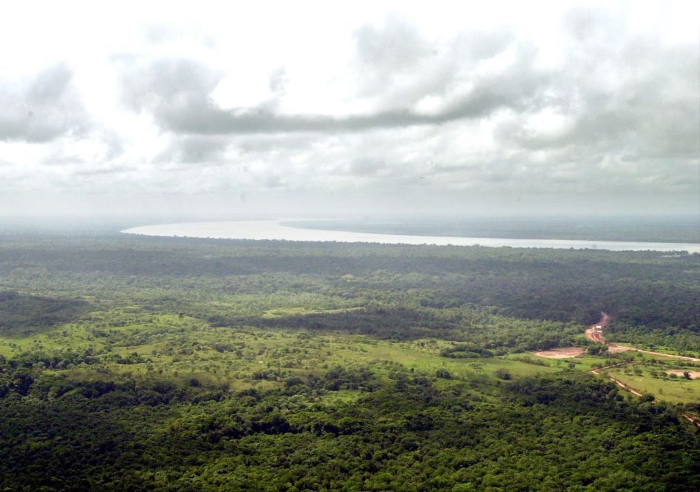 Brasil assina acordo internacional para aumentar superfície protegida na Amazónia