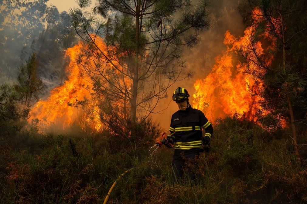 Proteção Civil contabiliza cinco mortos e 118 feridos nos incêndios até ao momento