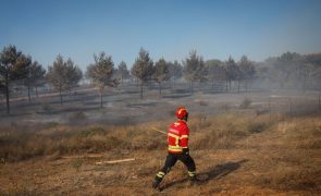 Mobilização de milhares de bombeiros não afeta serviços nas corporações