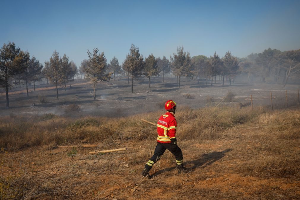 Mobilização de milhares de bombeiros não afeta serviços nas corporações