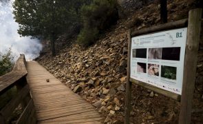 Incêndio em Arouca tem 