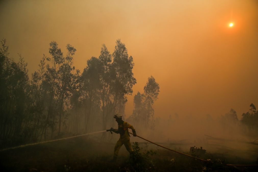 Nove incêndios ativos com fogos de Castro Daire em destaque