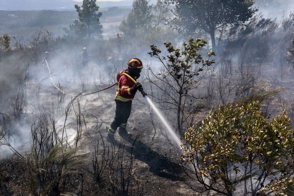 Fogo em Mangualde está 